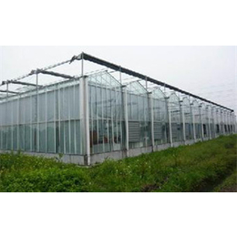 玻璃温室、齐鑫温室园艺(图)、玻璃温室大棚图片