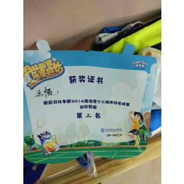 ****羽毛球培训、羽毛球、苏州*体育