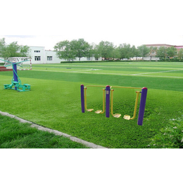 人造草坪足球场、人造草坪、 天津市众鼎体育设施(查看)