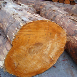 销售铁杉方木,恒豪木材加工,临沂铁杉方木