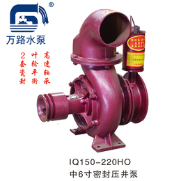 4寸连体压井泵-压井泵-东阿县万路泵业