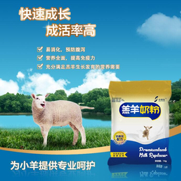 缺奶的羔羊怎么办用小羊奶粉羔羊代乳粉  