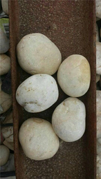 鹅卵石厂家-*石材-渭南鹅卵石
