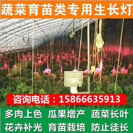 泰安植物灯_led 植物灯价格_植物生长灯代理(推荐商家)