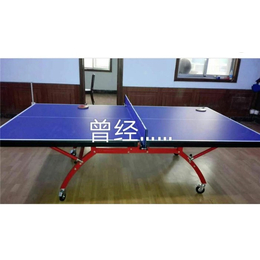 宿州移动式乒乓球台-奥祥文体(推荐商家)