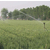 云南农业灌溉设备_云南农业灌溉设备生产_润成节水灌溉缩略图1