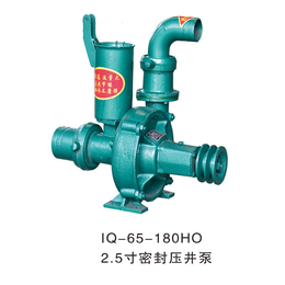 东阿县万路泵业(图)-双叶轮压井泵四寸-压井泵