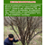 桂花树基地,和盛苗木,江苏桂花树基地缩略图1