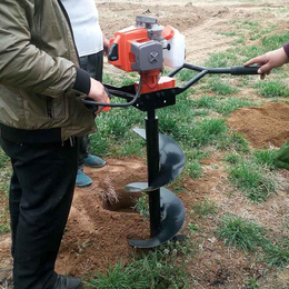 天恒机械(在线咨询)-手提式挖坑机-供应手提式挖坑机