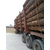 建筑木材加工厂-建筑木材-建筑方木厂家(查看)缩略图1