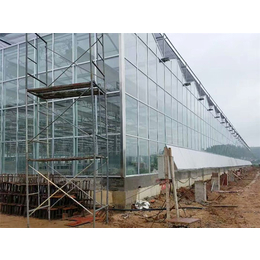 玻璃温室安装、青州瀚洋农业、云南玻璃温室