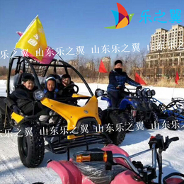 一半是现实 一半是梦想 雪地卡丁车 冰上*移卡丁车 雪橇车缩略图