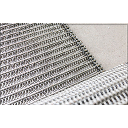 天德丝网(在线咨询)-不锈钢网带-链板式不锈钢网带