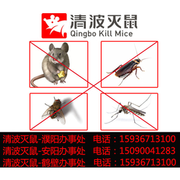 灭白蚂蚁公司|濮阳清波灭鼠(在线咨询)|安阳市灭蚂蚁