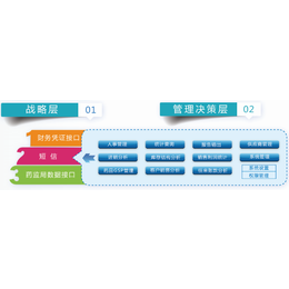 奥林软件(图)-电子标签拣货系统价格-松原电子标签拣货系统