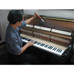 钢琴调音服务_三禾乐器(在线咨询)_罗湖钢琴调音