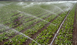 南宁灌溉、灌溉厂家、灌溉技术