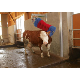 牛体刷供应,腾骏畜牧(在线咨询),牛体刷