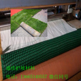 广东加大量批发**冲生物毯 加筋毯 绿化毯铺设简单价格低