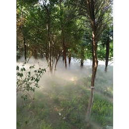 公园森雾安装|汇丰源喷泉(在线咨询)|森雾安装