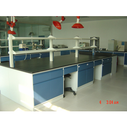 厂家生产检验实验台，实验室药品柜，全钢木天儀实验台
