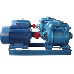 水环真空泵生产厂-荣瑞泵业-水环真空泵