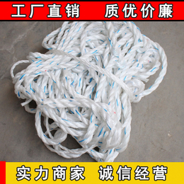 聚乙烯吊网 10厘米网孔 集装箱围网 安全绳吊网