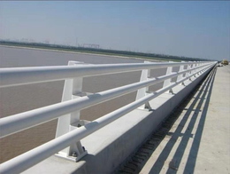 桥梁护栏工程-芜湖桥梁护栏-****不锈钢(图)