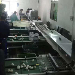 诸城广盈机械(在线咨询)-北京 鸡蛋清洗机- 鸡蛋清洗机厂家