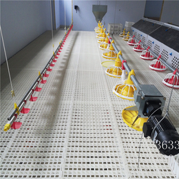 厂家塑料鸡用漏粪地板 鸡塑料漏粪地板 1200成500规格
