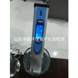 潍坊水*磁化器_丰硕环保科技_水*磁化器生产厂家