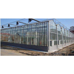 巴彦淖尔玻璃温室|玻璃连栋智能温室|安阳盛丰温室工程