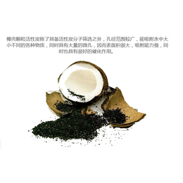 上海专门负责椰壳碳进口的报关公司缩略图