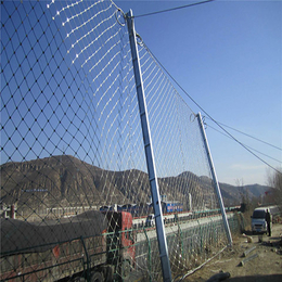 道路斜坡防护网|防护网|安平边坡防护网(图)