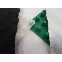 2厘米塑料排水板-唐能(在线咨询)-2厘米塑料排水板报价