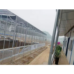 玻璃温室骨架-玻璃温室-青州瀚洋农业