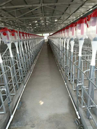 养猪供应猪送料配料生产线赛盘自动化