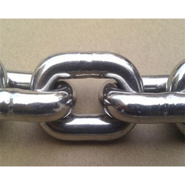 不锈钢链条报价,不锈钢链条,泰安鑫洲机械公司(多图)