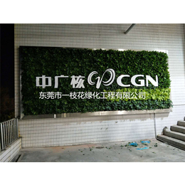 小型植物墙报价-一枝花绿化工程公司-小型植物墙