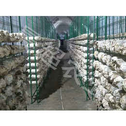 枣庄蘑菇网格架-河北晨超-蘑菇网格架厂家