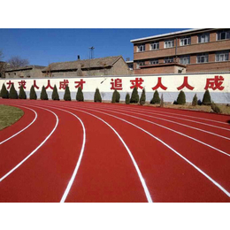 东莞华宸体育(图)|塑胶跑道厂家|塑胶跑道