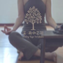 安庆瑜伽培训,寻瑜伽之树,瑜伽培训学校