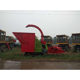 玉米秸秆青储机、博达机械(在线咨询)、内蒙古青储机