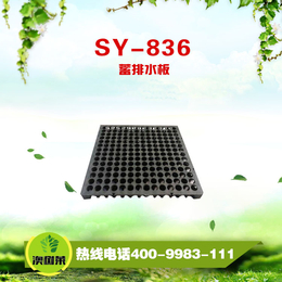 SY-836蓄排水板-山东澳树莱厂家*