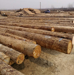 建筑木材-山东木材加工厂-建筑木材加工厂家