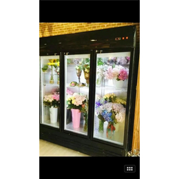 鲜花展示柜*-琼中鲜花展示柜-达硕冷冻设备生产