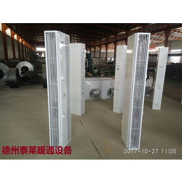 泰莱(图)|热空气幕RM-2512L-D|广安热空气幕