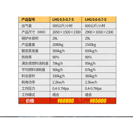 燃油燃气蒸汽发生器 生物质蒸汽发生器 批发电蒸汽发生器