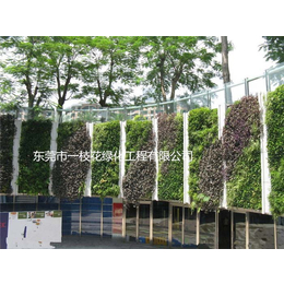 装饰植物墙承包公司-中山装饰植物墙-一枝花绿化(查看)