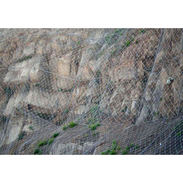 防护网|碎石拦截防护网|德邦边坡防护网